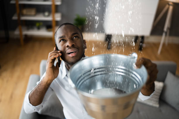 Best Carpet water damage restoration  in Walford, IA