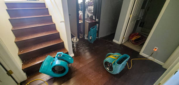 Best Local water damage restoration  in Walford, IA