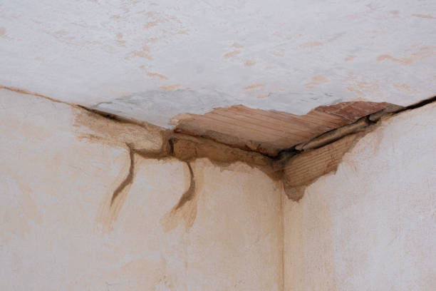 Best Sewage cleanup and water damage restoration  in Walford, IA