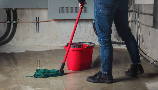 Best Flood damage cleanup  in Walford, IA