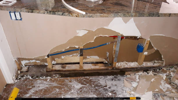 Best Water damage restoration company  in Walford, IA