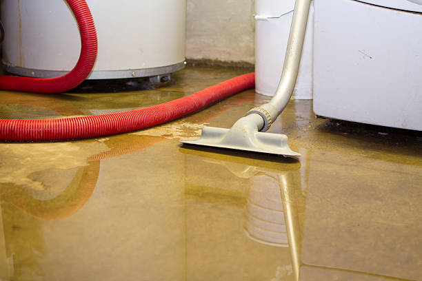 Best 24-hour water damage restoration  in Walford, IA