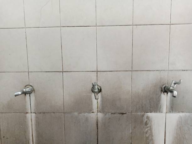 Reliable IA Water damage restoration Solutions
