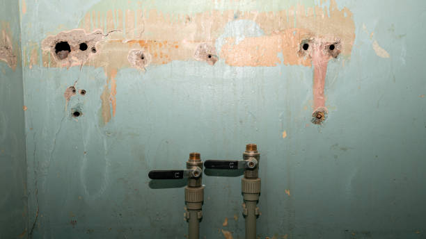 Trusted IA Water damage restoration Experts