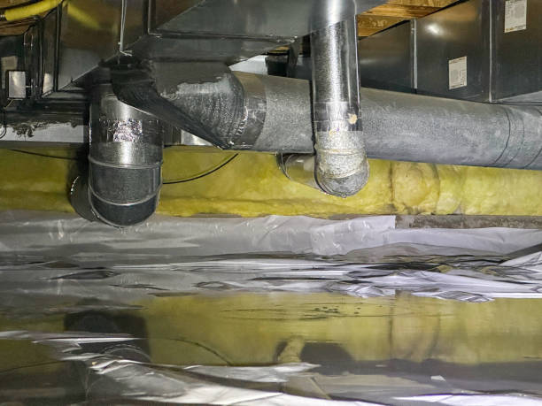 Best Professional water damage repair  in Walford, IA