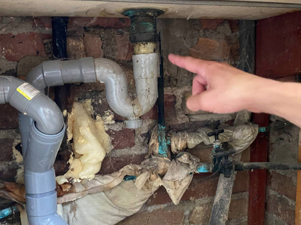 Best Flooded house restoration  in Walford, IA