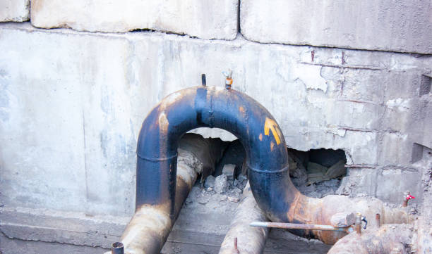 Best Basement water damage restoration  in Walford, IA