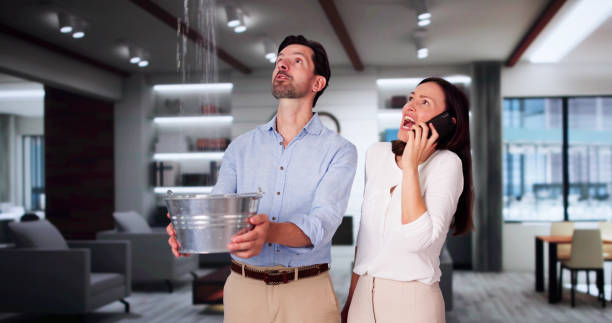Best Water damage restoration near me  in Walford, IA